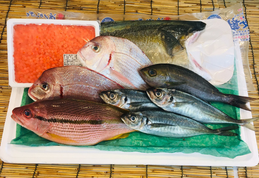 Check out Bangkok's freshest fish markets - BK Magazine Online | The ...