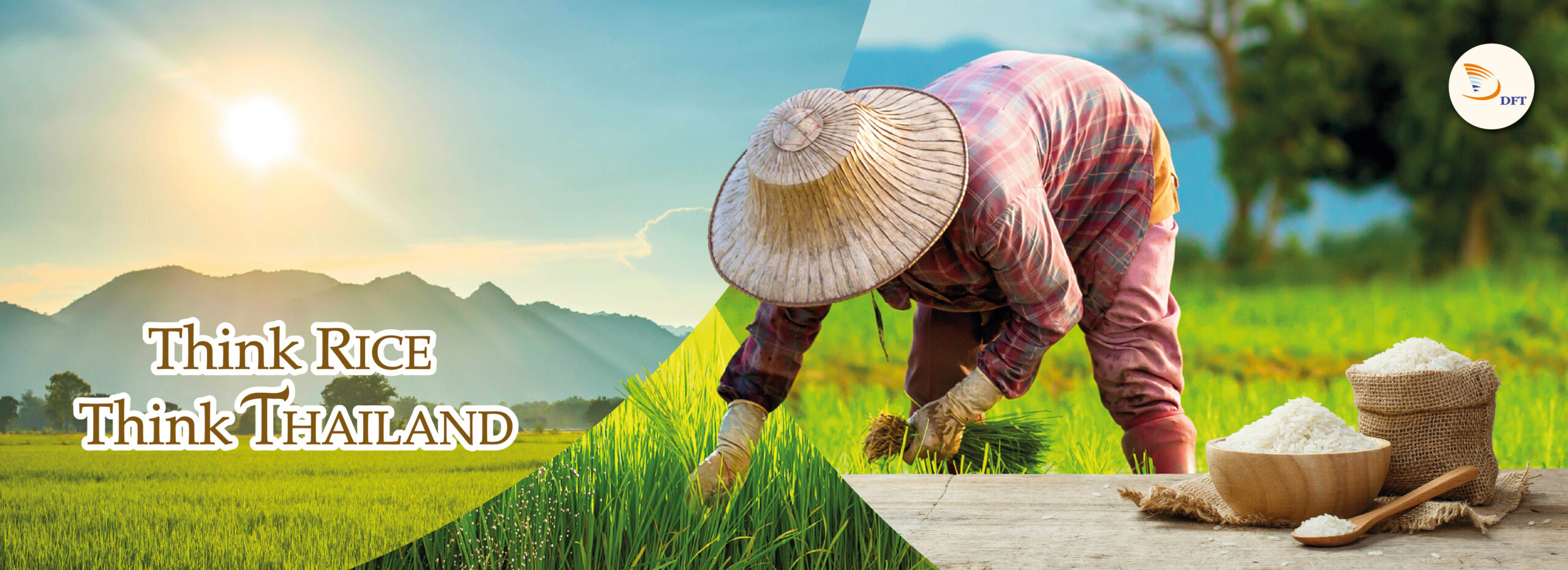 Amazing Thai Rice experiences through the eyes of international ...
