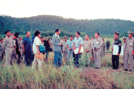 Southern Thailand’s extraordinary transformation into an agricultural powerhouse