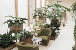 Check out the new pamper spots around Bangkok