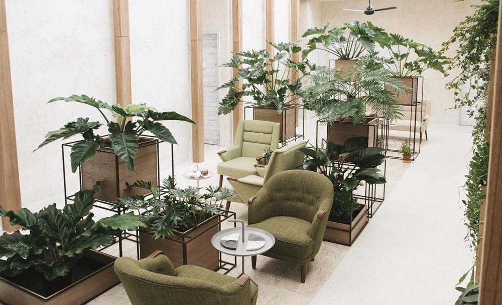 Check out the new pamper spots around Bangkok