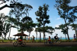 You can soon cycle from Lower Seletar to Gardens by The Bay