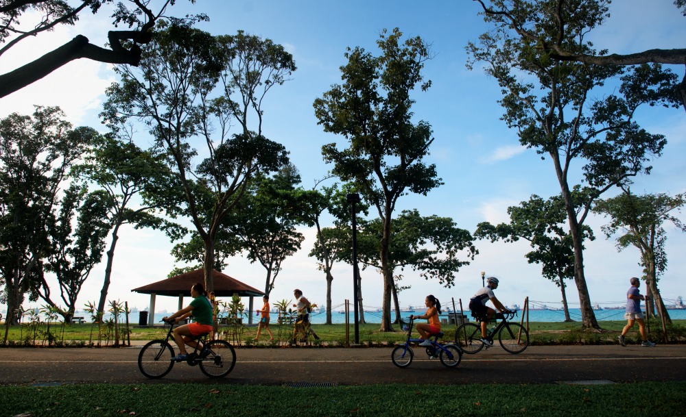 You can soon cycle from Lower Seletar to Gardens by The Bay