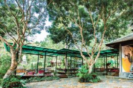 Chiang Mai’s must-visit jungle cafes