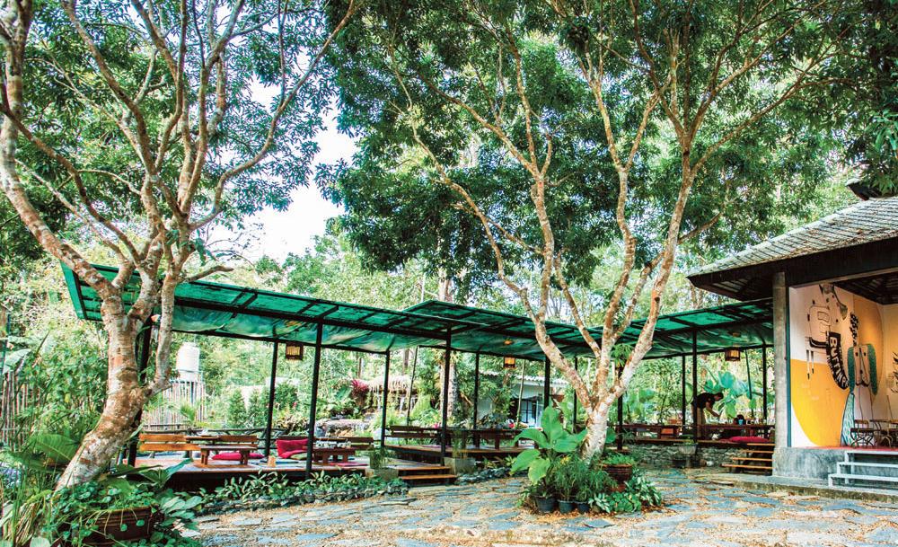 Chiang Mai’s must-visit jungle cafes