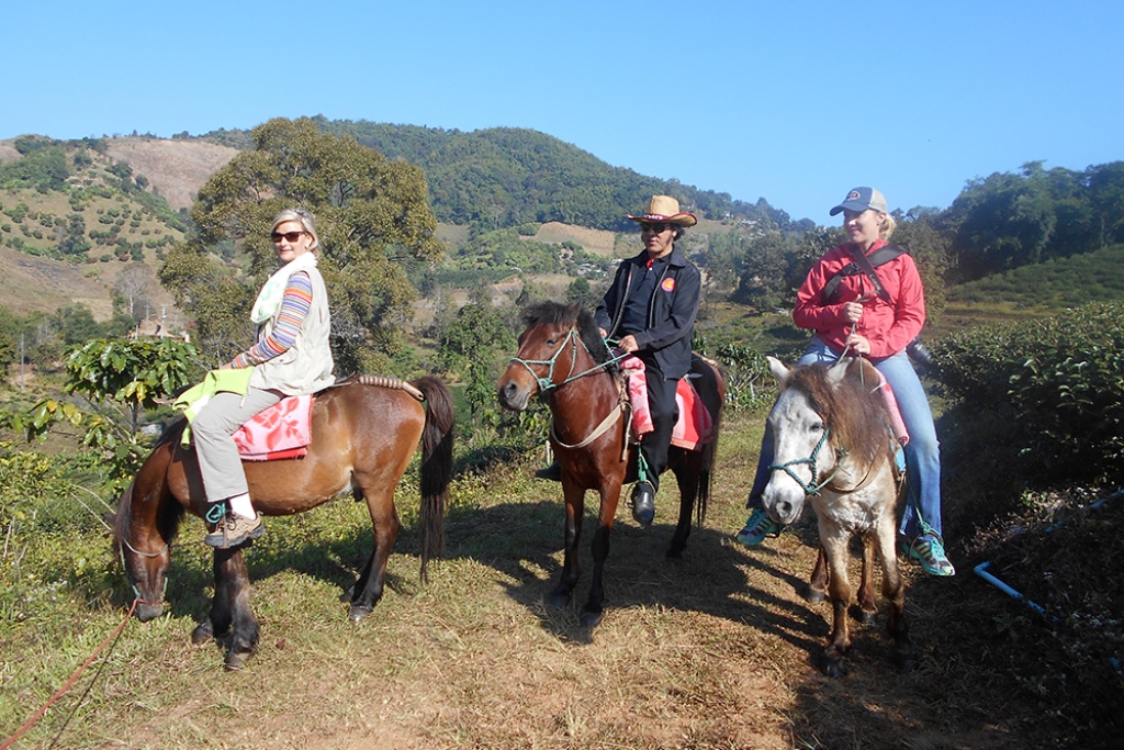 This winter, live like a local in an Akha hilltribe village