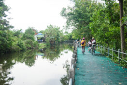Saving Bang Krachao, Bangkok’s green lungs