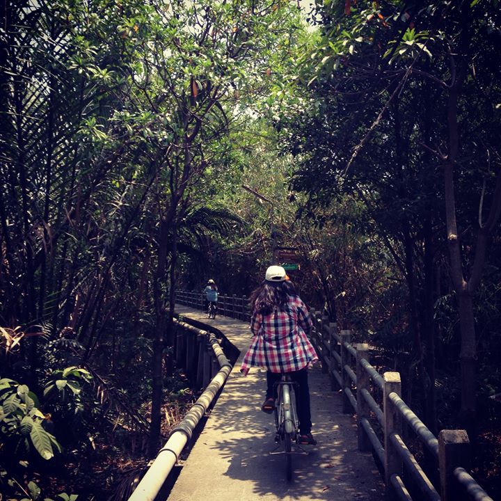 Help save Bangkok’s green lungs with a bike ride around Bang Krachao this weekend