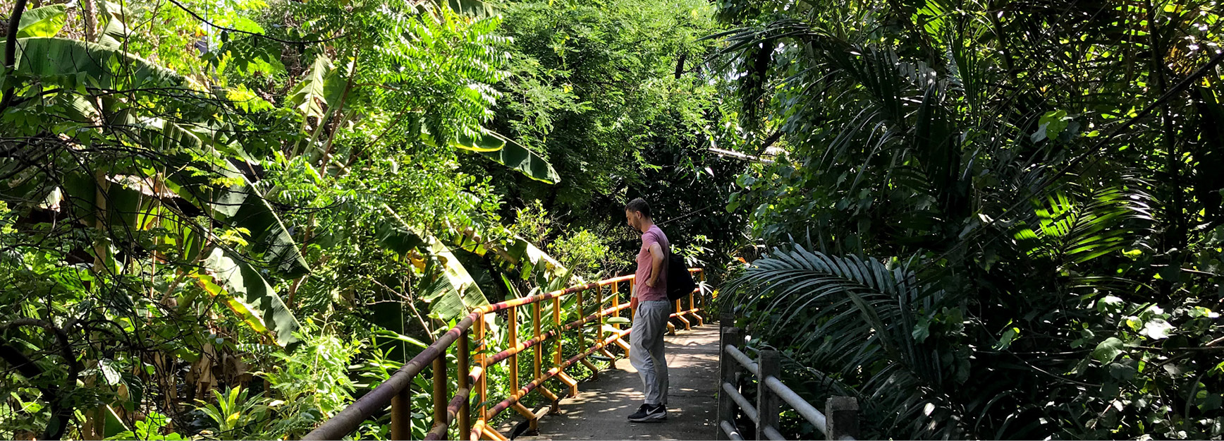 The fight to save Bangkok’s green lung