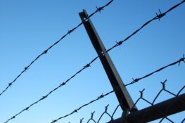 Proposed bill sets prison sentences for unlicensed reporters