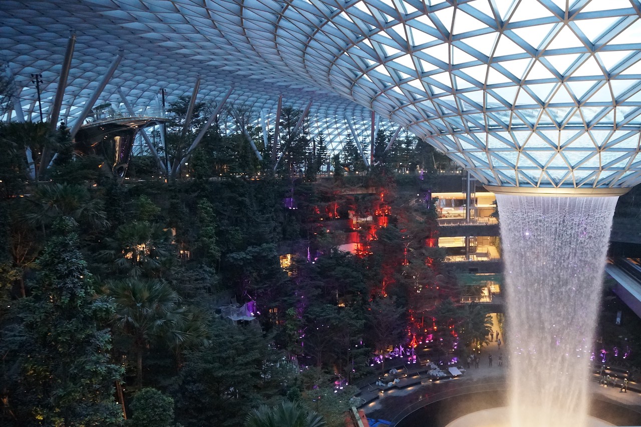 Explore a forest in comfort and bliss at the world’s best airport when Jewel opens