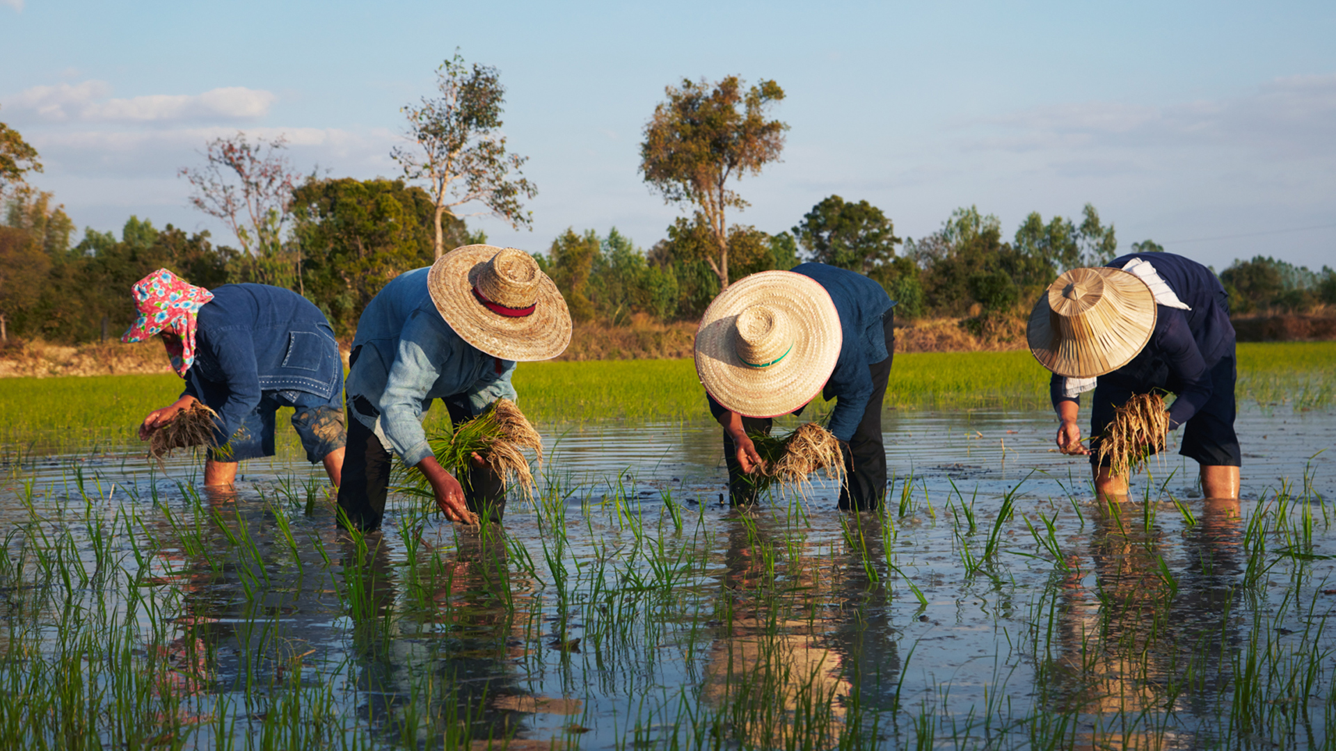 Thailand’s Siam Organic wins global social enterprise competition