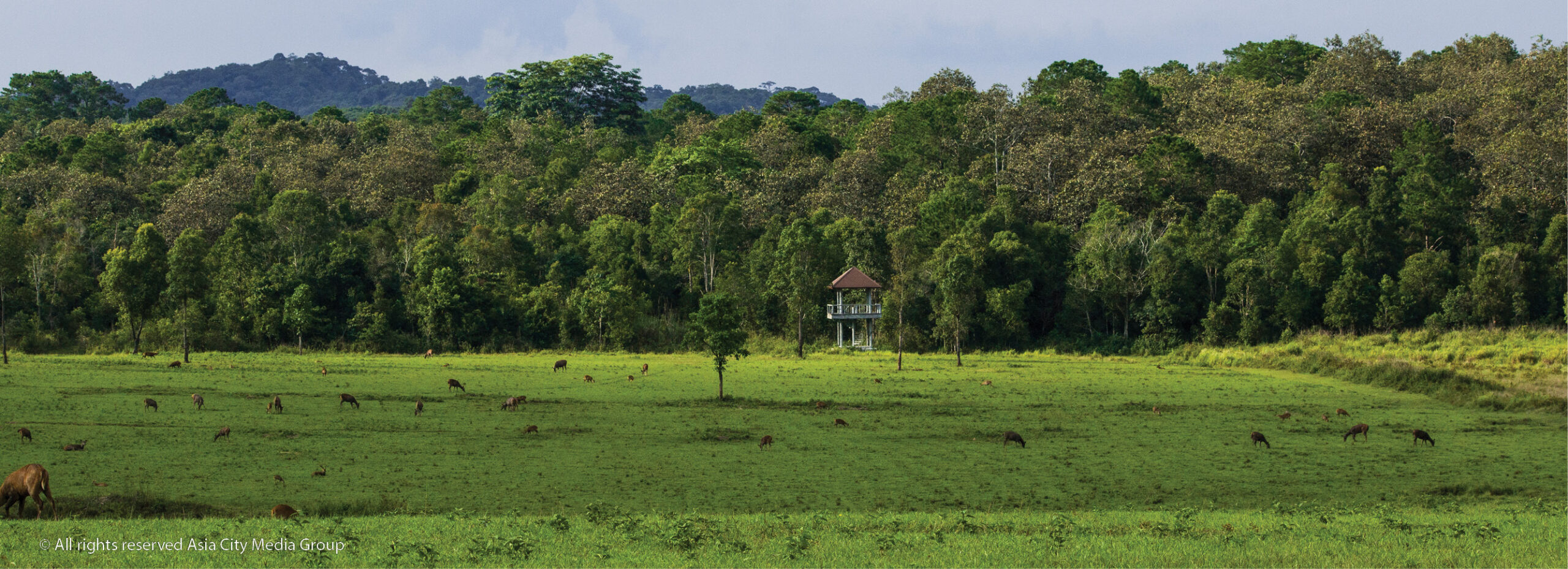 Venture into the wild at one of Thailand’s best wildlife sanctuaries