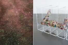 SAC Gallery returns with two new exhibitions