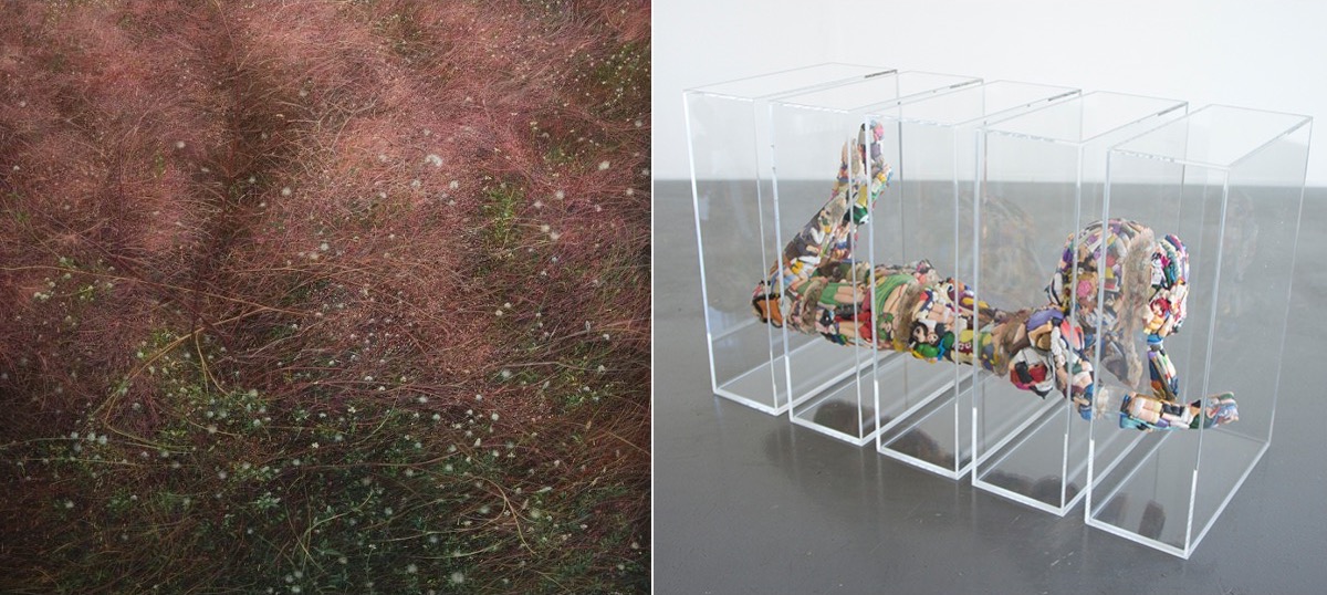 SAC Gallery returns with two new exhibitions