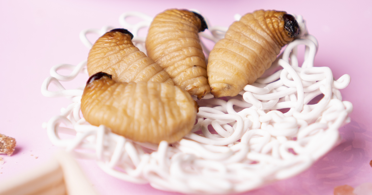 Catch creepy crawlies and eat them at this chef’s table event