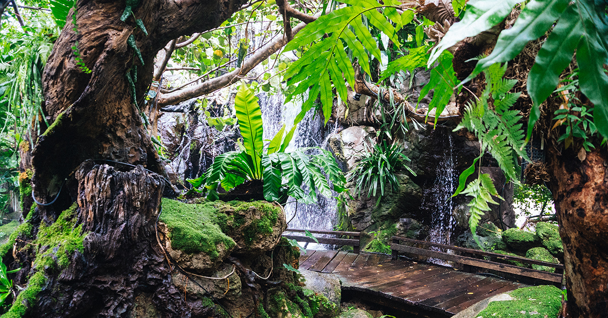 Inside the hype of Park Sathorn, the neighborhood’s Instagram hotspot
