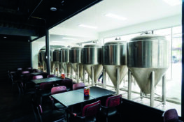 Long-awaited progressive alcohol act dies as the cabinet make their own last-minute rules