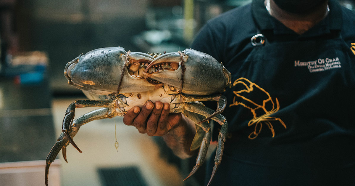 Absolutely Crabulous! Gigantic Thai crabs make a splash at Ministry of Crab