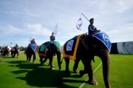 Annual elephant polo tournament returns to Bangkok riverside this March