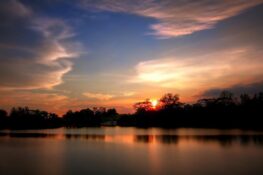 7 reasons why Punggol should be your next hangout spot