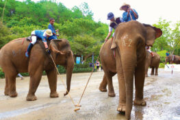 Anantara’s King’s Cup Elephant Polo Tournament to Return to Hua Hin from August 28-September 1