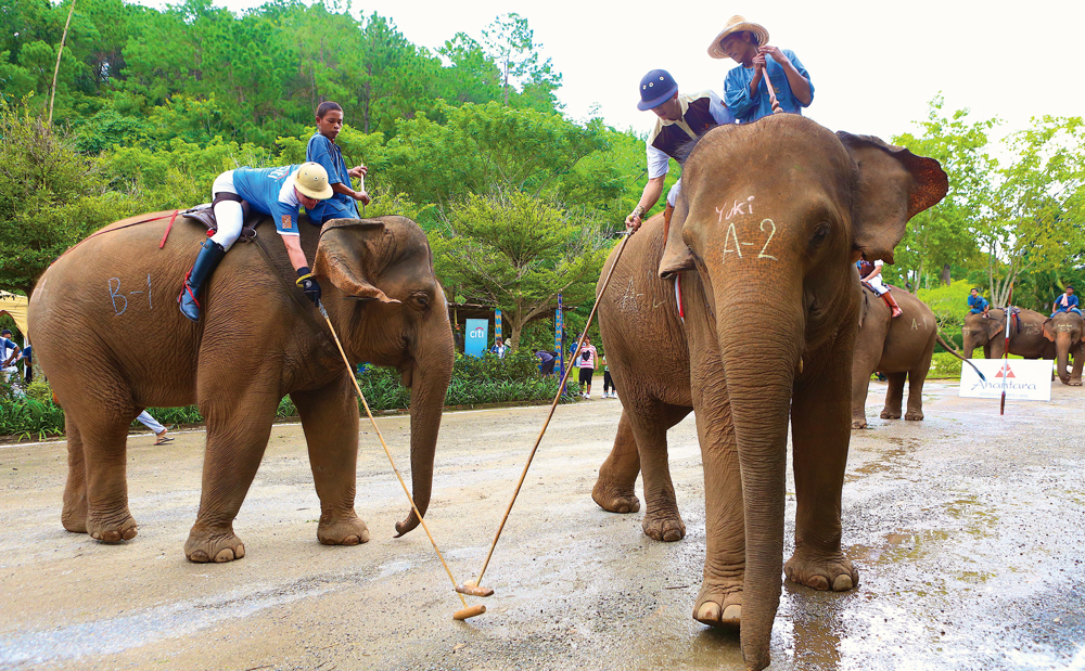 Anantara’s King’s Cup Elephant Polo Tournament to Return to Hua Hin from August 28-September 1