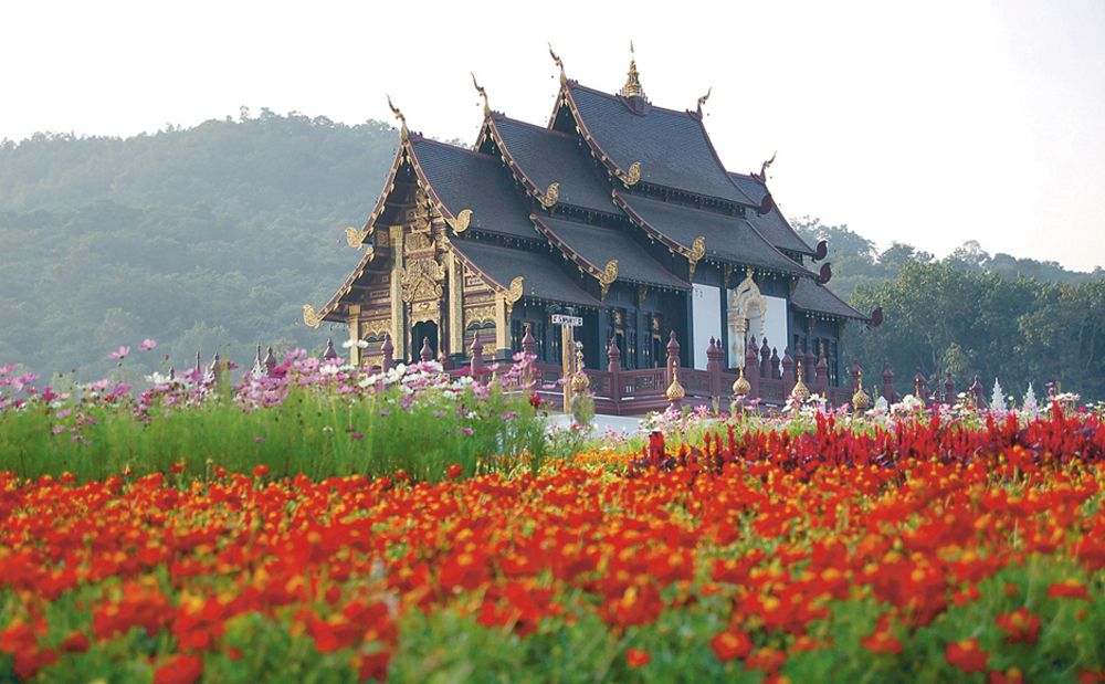 Royal Flora 2011 Postponed to Dec 14