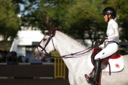 Asia’s best horses trot into Sanam Pao for six days