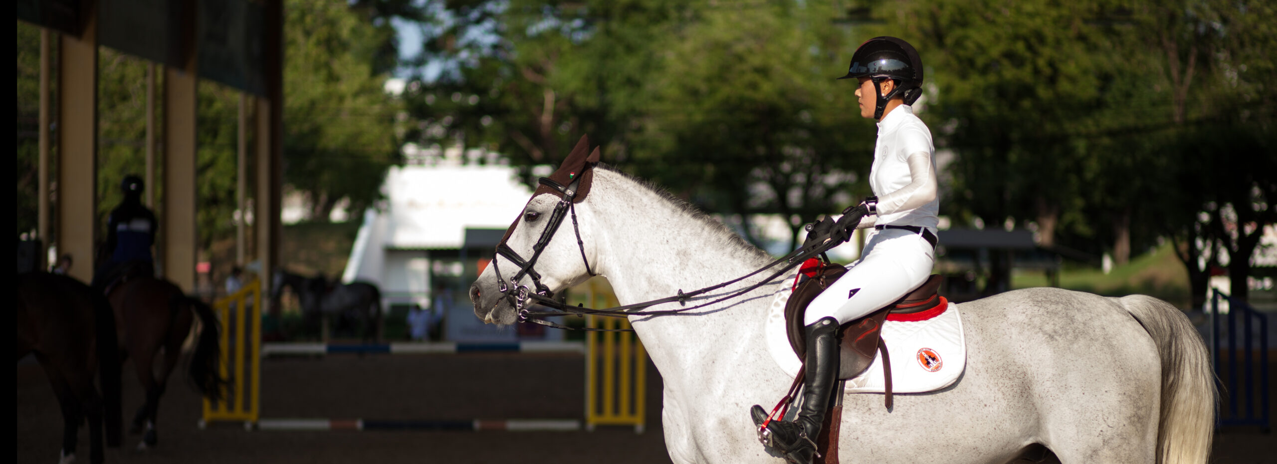 Asia’s best horses trot into Sanam Pao for six days