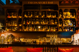 Falcon Secret Bar