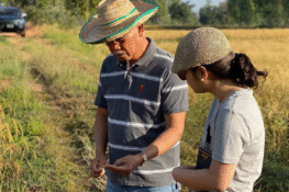 These entrepreneurs are trying to fix Thailand’s flawed food system