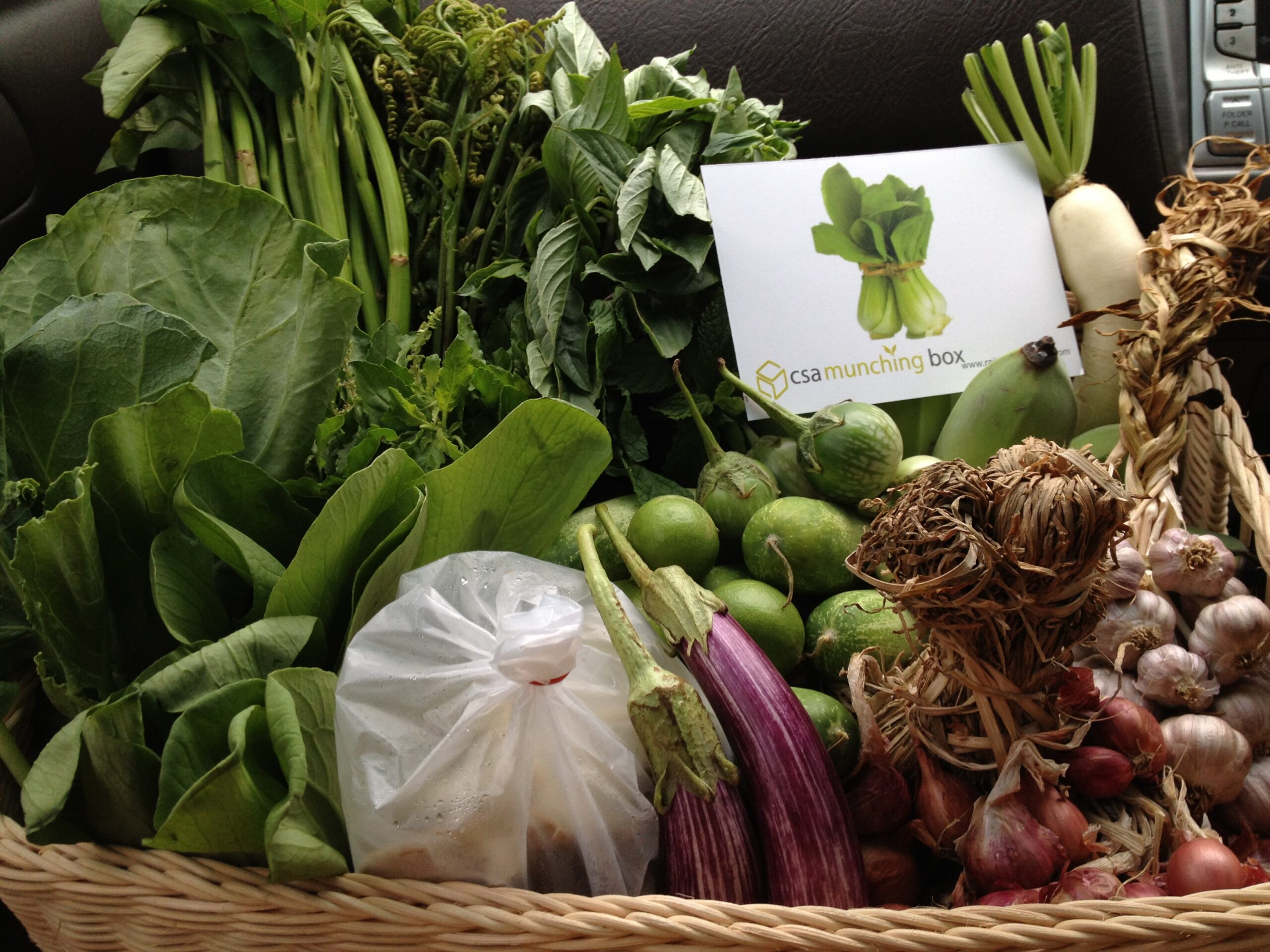Srisaket’s Raitong Organics Farm Launches Subscription-Based Delivery Service