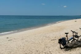 Cycle in Desaru or Nepal at the end of the year