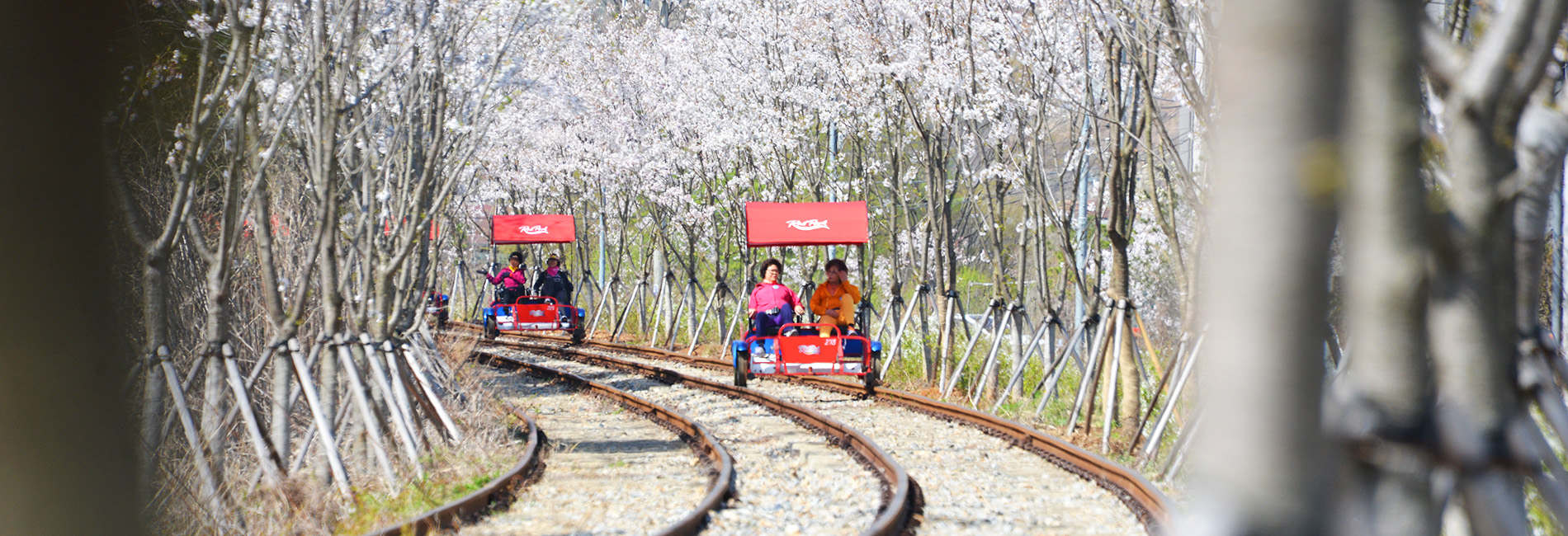 The beginner’s guide to rail biking in South Korea
