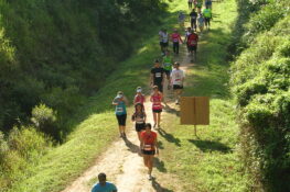 5 upcoming runs you should sign up for
