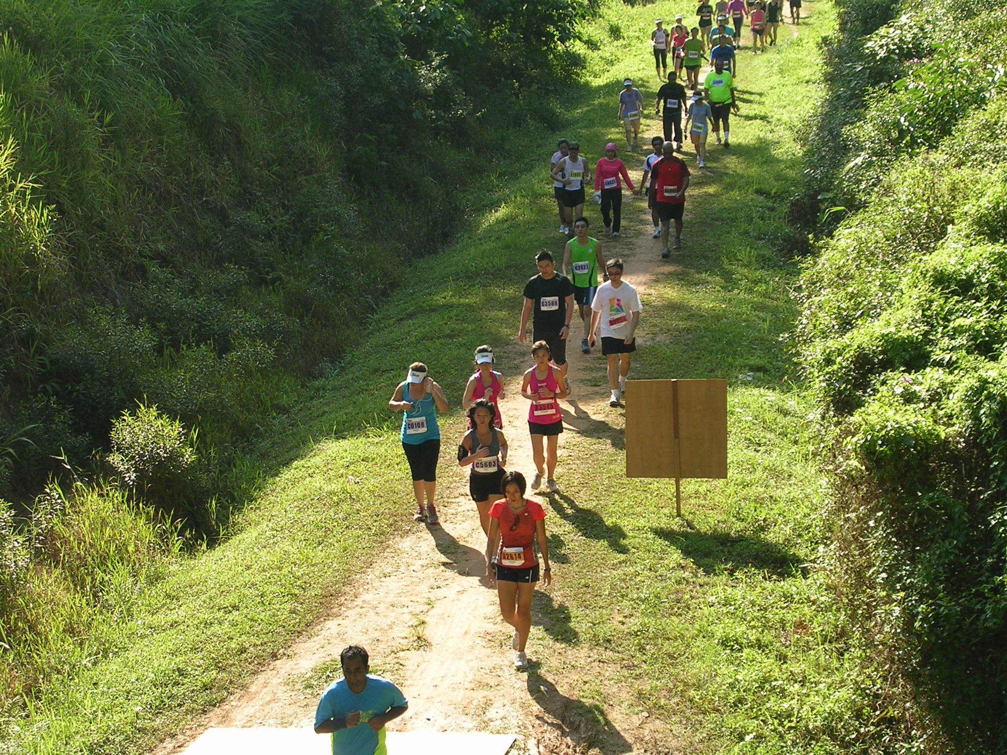 5 upcoming runs you should sign up for