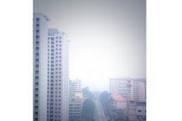 Let the panic buying begin: Where to get your facemasks in preparation for the haze