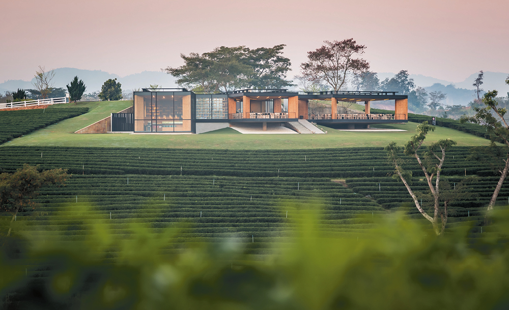 Chiang Rai’s new tea-house is the most stunning in Thailand