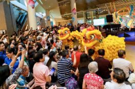 5 of the best must-see performances to check out this CNY