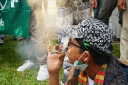 High-lelujah! Narcs give green light to weed