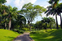 The URA wants your input on Singapore’s forgotten spaces