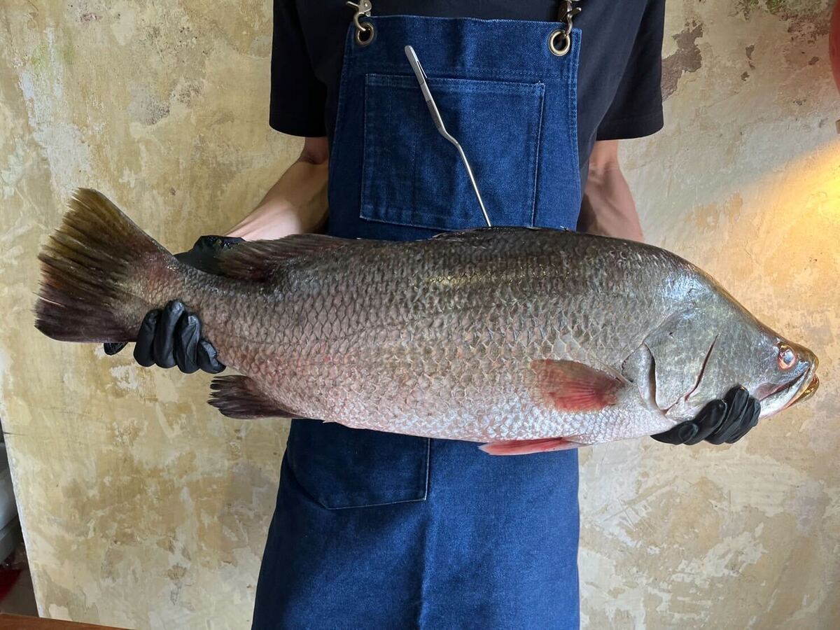 Thai fish trend is slowly but surely taking over Bangkok’s dining scene
