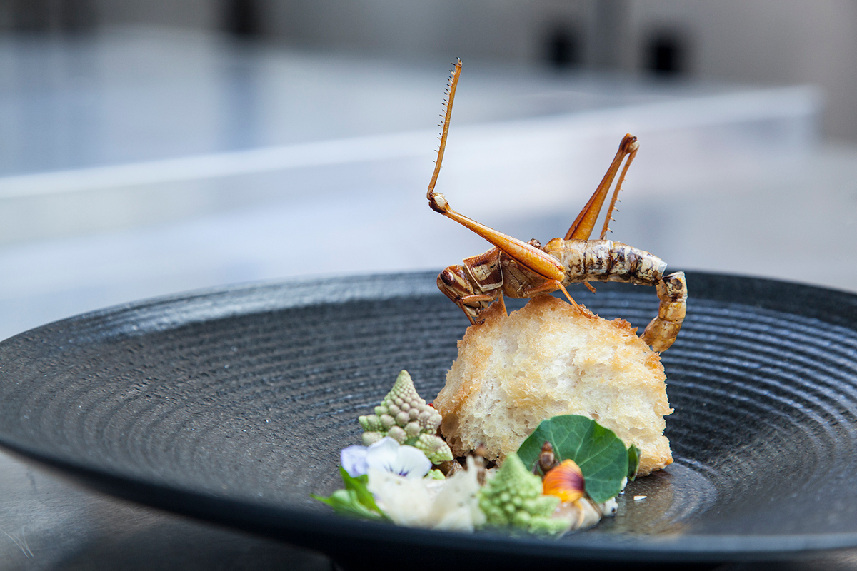 Bangkok’s getting a new restaurant dedicated to edible insects