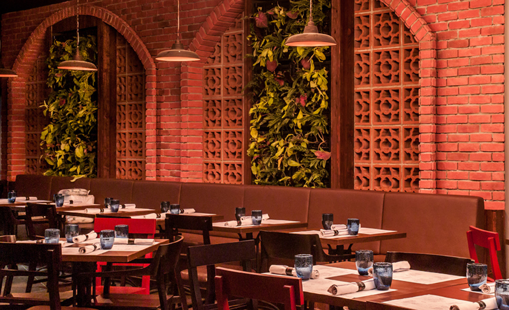 Salt tapas & bar