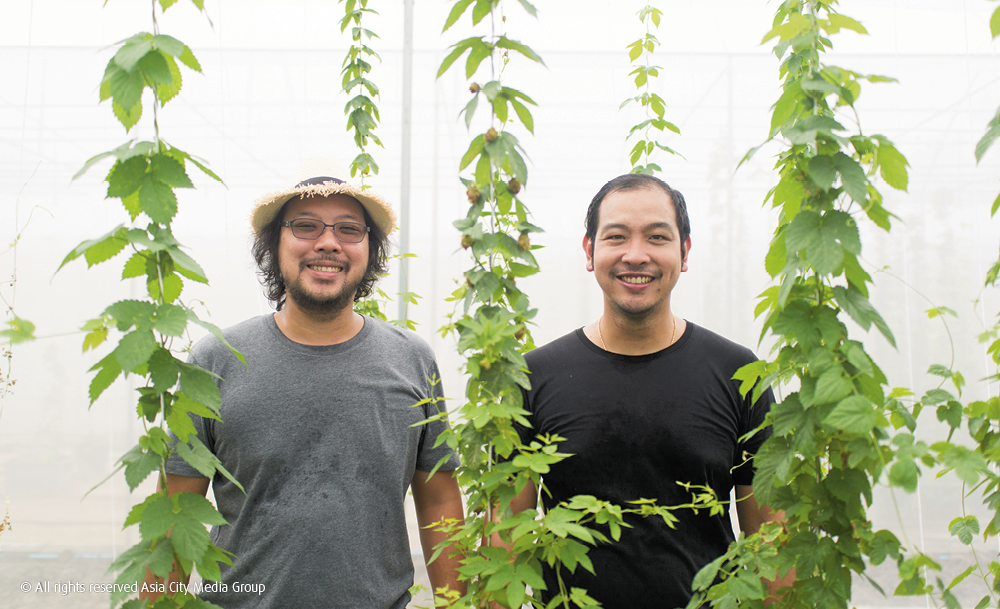 Meet the brewer brothers behind Thailand’s first ever hops farm