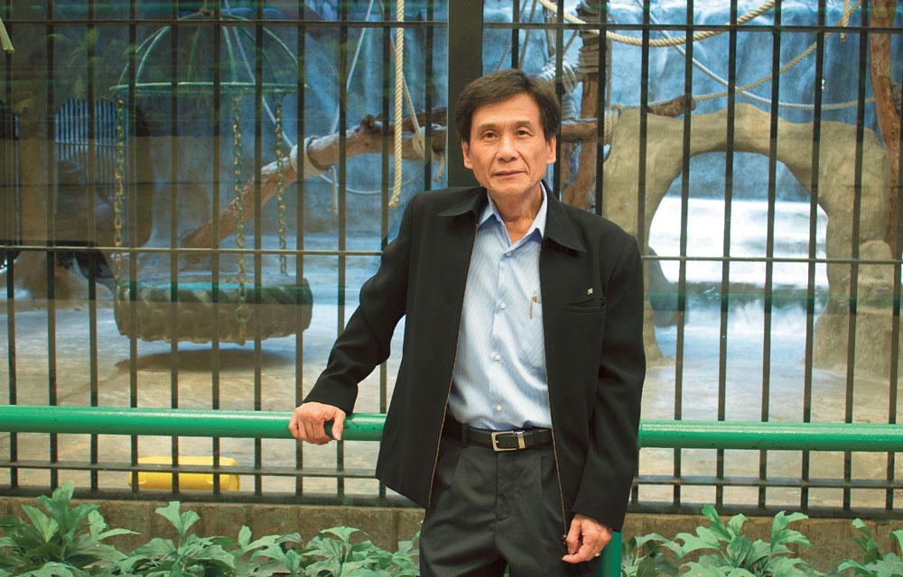 The director of Bangkok’s Pata Zoo discusses the future of gorilla Bua Noi