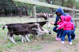 The best farms, wineries and orchards to visit in Melbourne