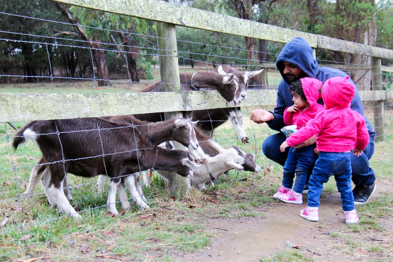 The best farms, wineries and orchards to visit in Melbourne