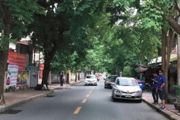 This long, leafy Chatuchak soi is a step back in time